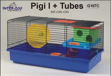 INTER-ZOO G107    PIGI I + 