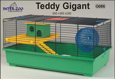 INTER-ZOO G086    TEDDY GIGANT + .