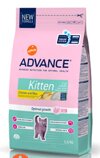 Advance Kitten,  , 1,5