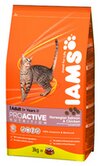 IAMS Adult with Salmon  , 1,5 