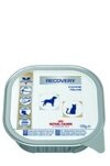 Royal Canin . Recovery    ,  100 