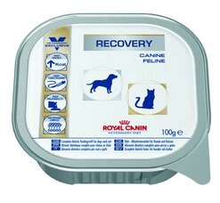 Royal Canin  Recovery    , 100