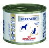 Royal Canin . Recovery    , 195