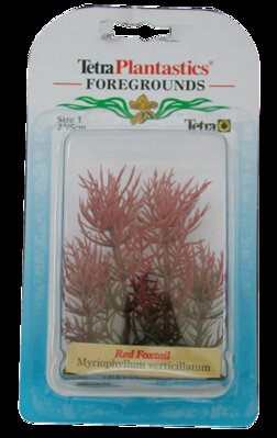 TetraDecoArt Red Foxtail FG XS  , 10