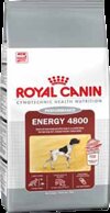 Royal Canin Energy 4800  , 15 