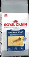 Royal Canin Energy 4300  , 15 