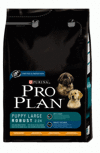 Pro Plan Puppy Large Robust       , 3 