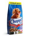 Chappi    -, 15 