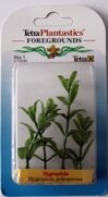 TetraDecoArt Hygrophila FG XXS  , 5