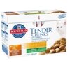 Hills SP Feline Tender Chunks in Gravy    , 100