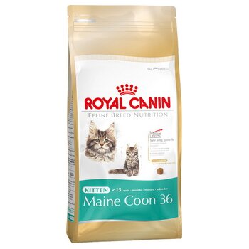 Royal Canin Kitten Maine Coon 36     , 400