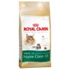 Royal Canin Maine Coon 31    -, 4 