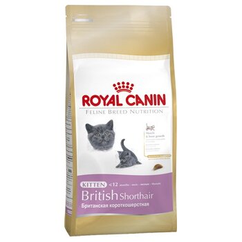 Royal Canin Kitten British Shorthair     , 400