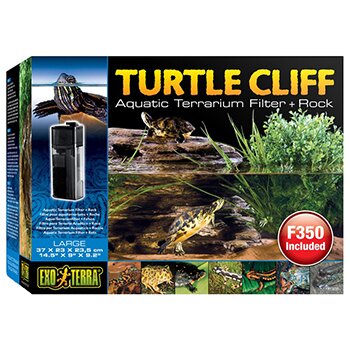 Hagen   Turtle Cliff ()  