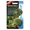 Hagen   Moss Ball  