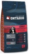 Ontario Adult Large,       13