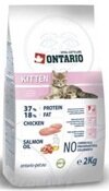 Ontario Kitten  ,    , 2