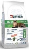 Ontario Adult Cat Castrate  / , 2