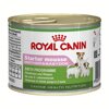 Royal Canin  Starter Mousse     , 195