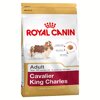 Royal Canin Cavalier King Charles  , 500