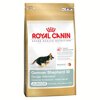 Royal Canin German Shepherd 30 Junior  , 3 