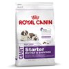 Royal Canin GIANT Starter  , 15 