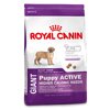 Royal Canin GIANT Puppy Active    , 15 