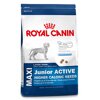 Royal Canin MAXI Junior Active  , 15 