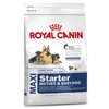 Royal Canin MAXI Starter  , 1 