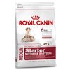 Royal Canin MEDIUM Starter    , 1 