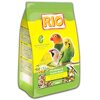 RIO       (  ), 500