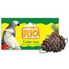 RIO - " "  , 1 .