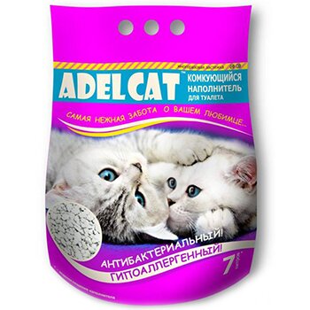 Adel Cat     , 7 