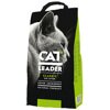 Cat Leader Classic     , 10 