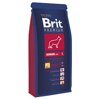 Brit Premium Senior L     , 15 