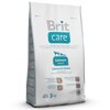 Brit Care Salmon All Breed    , 12 