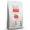 Brit Care Activity All Breed Lamb & Rice   , 12 