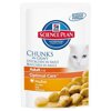 Hills SP Feline Tender Chunks in Gravy     , 85