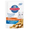 Hills SP Feline Tender Chunks in Gravy      , 85