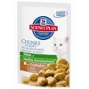 Hills SP Feline Tender Chunks in Gravy     , 85